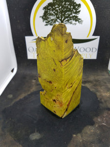 Casting box elder burl