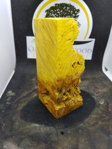 Casting box elder burl