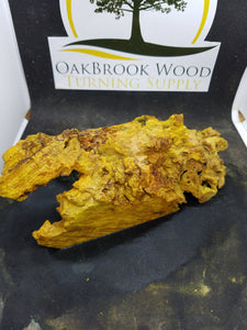 Casting box elder burl