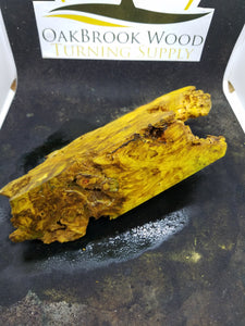 Casting box elder burl