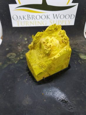 Casting box elder burl