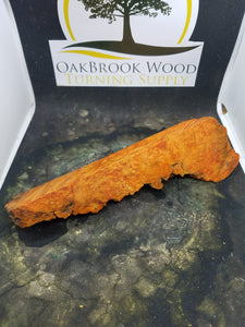 Casting box elder burl