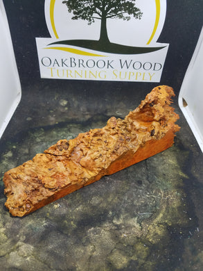 Casting box elder burl