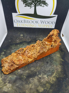 Casting box elder burl