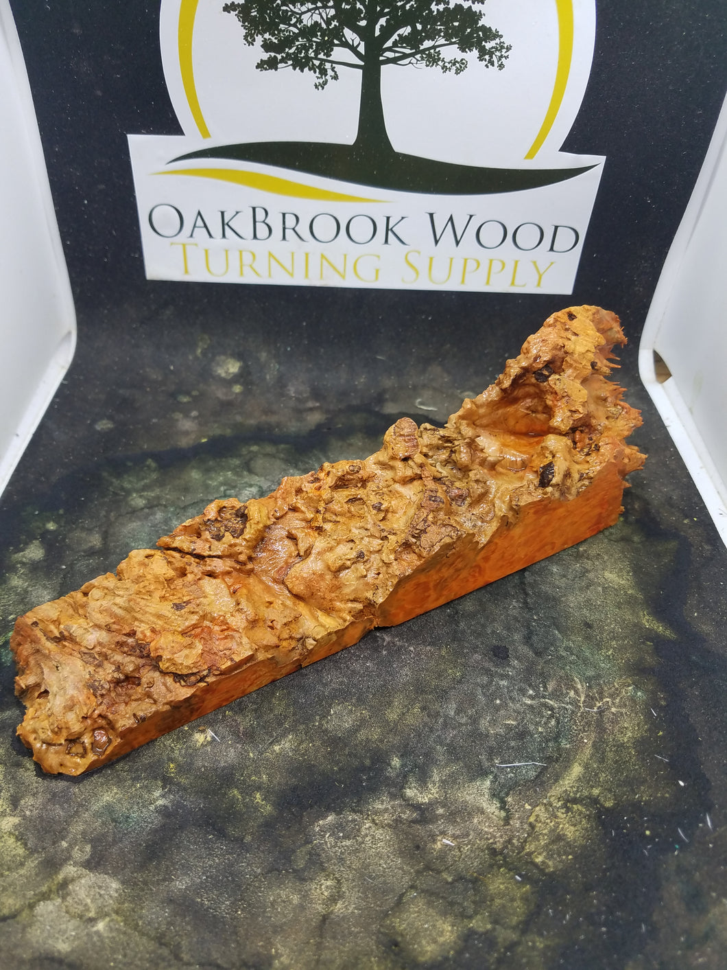 Casting box elder burl