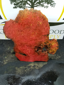Casting box elder burl