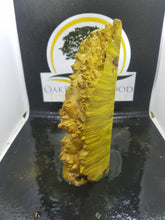Casting box elder burl