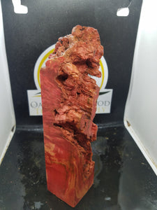 Casting box elder burl