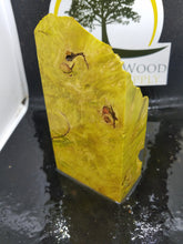 Casting box elder burl