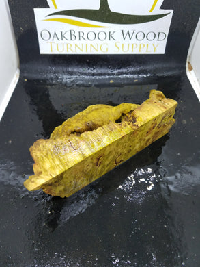 Casting box elder burl