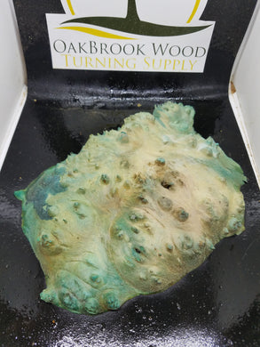 Casting Box elder burl