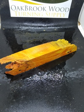 Casting Box Elder Burl