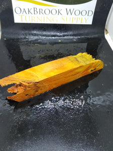 Casting Box Elder Burl