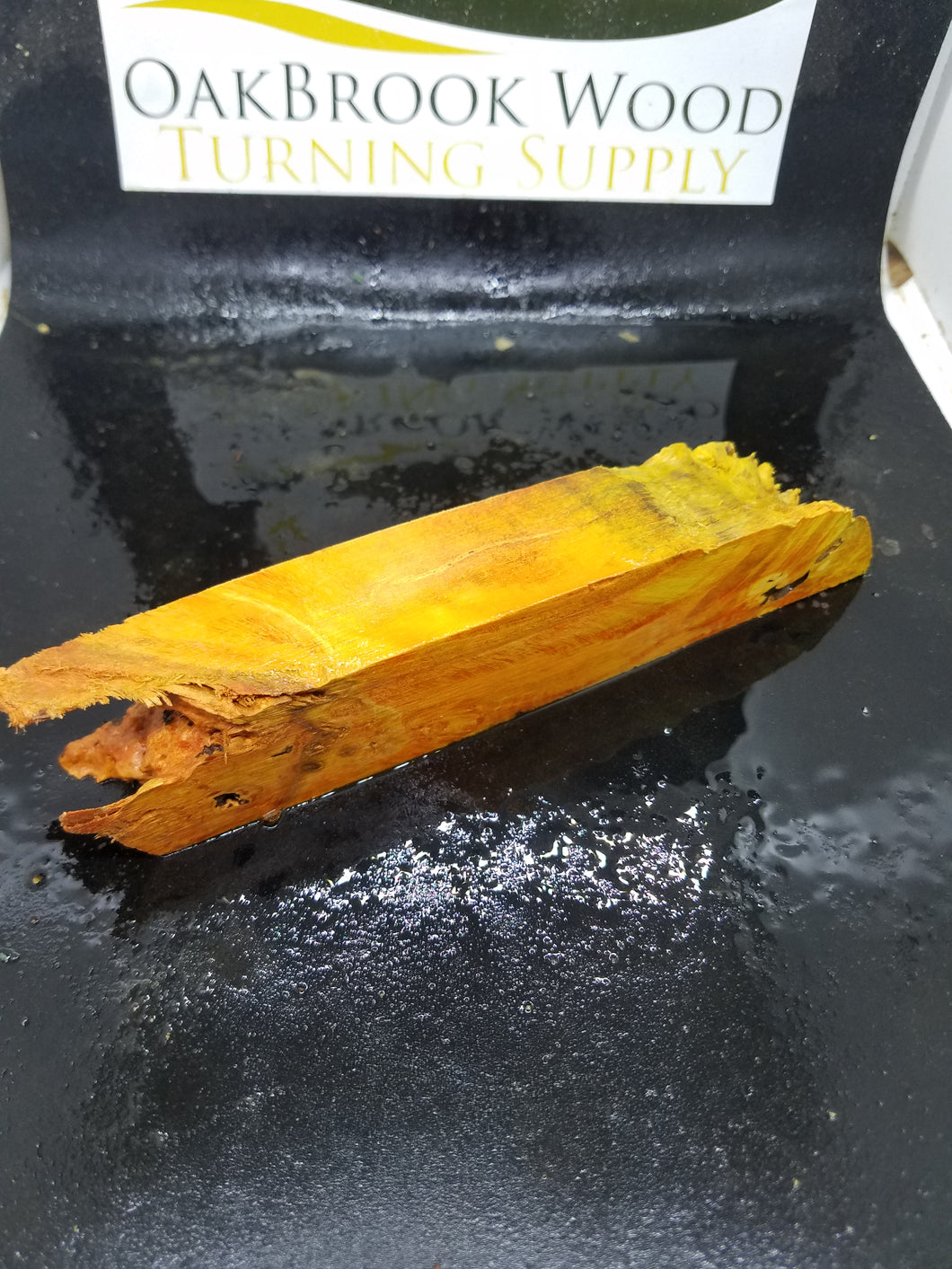 Casting Box Elder Burl