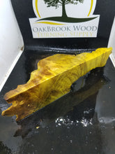 Casting box elder burl