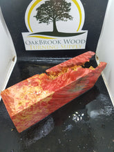Casting box elder burl