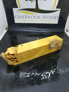 Casting yellow cedar burl
