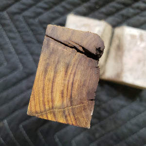 Casting desert ironwood