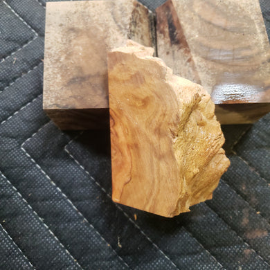 Casting Yellow box burl