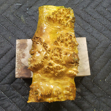 Casting box elder burl