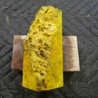 Casting box elder burl