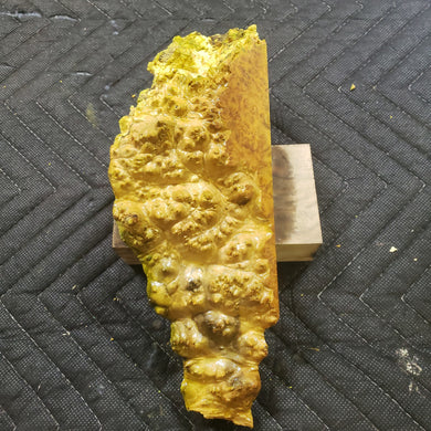 Casting box elder burl