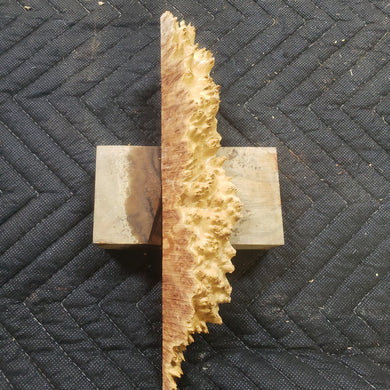 Casting red mallee Burl