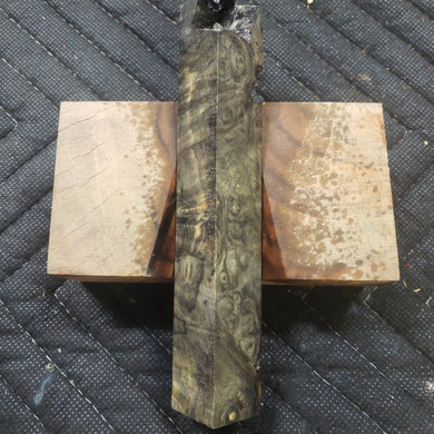 Stabilized Buckeye burl pen blank