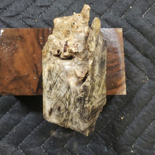 Casting Buckeye burl