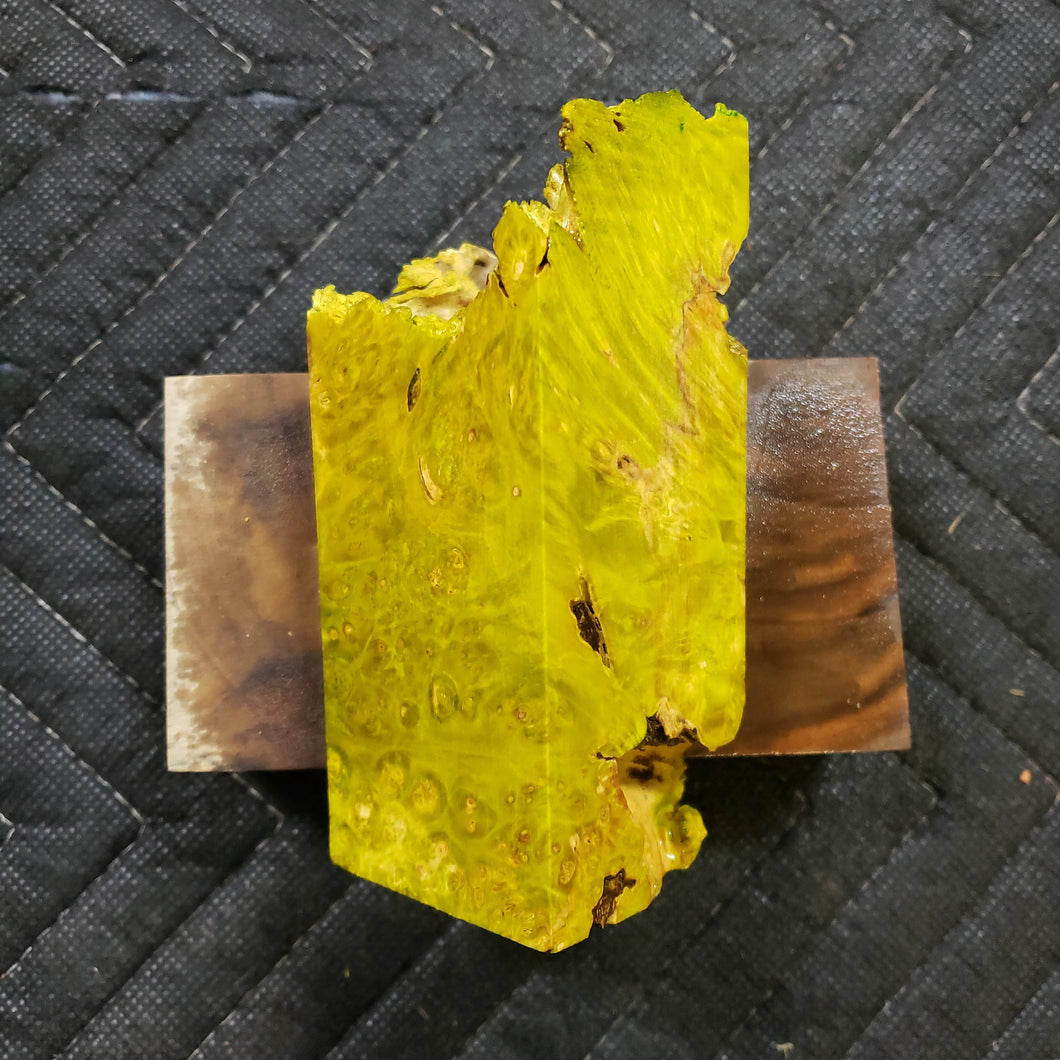 Casting box elder burl