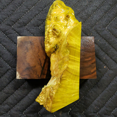 Casting box elder burl