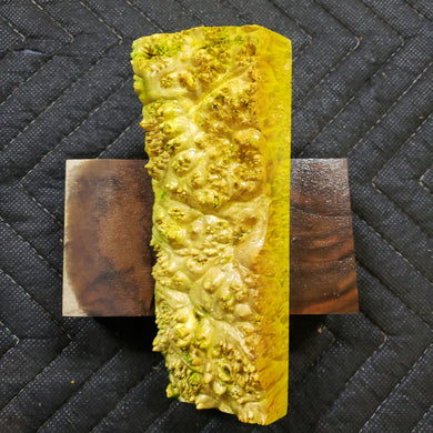 Casting box elder burl