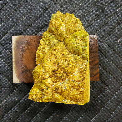 Casting box elder burl