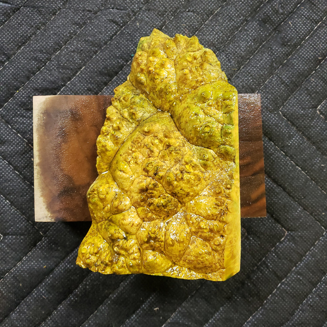 Casting box elder burl