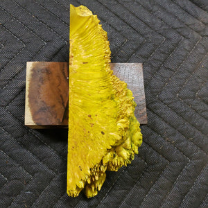 Casting box elder burl
