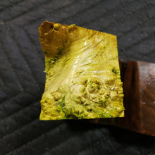 Casting box elder burl