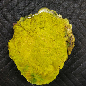 Casting box elder burl