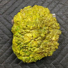 Casting box elder burl