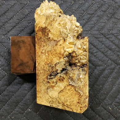 Casting box elder burl