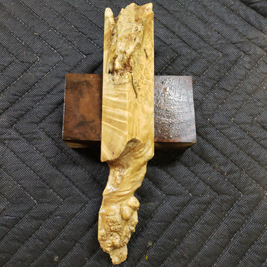 Casting box elder burl