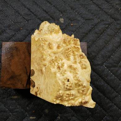 Casting box elder burl