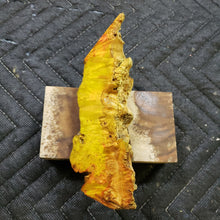 Casting box elder burl