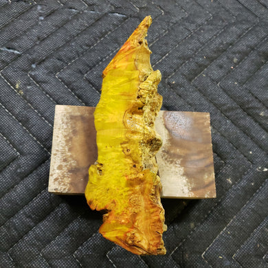 Casting box elder burl