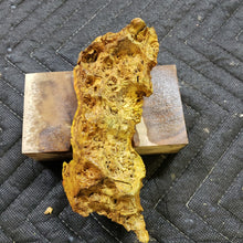 Casting box elder burl