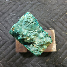 Casting box elder burl