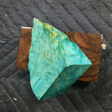 Casting box elder burl