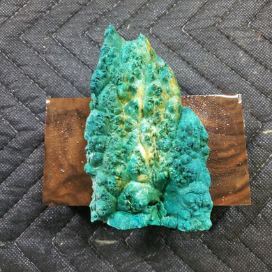 Casting box elder burl