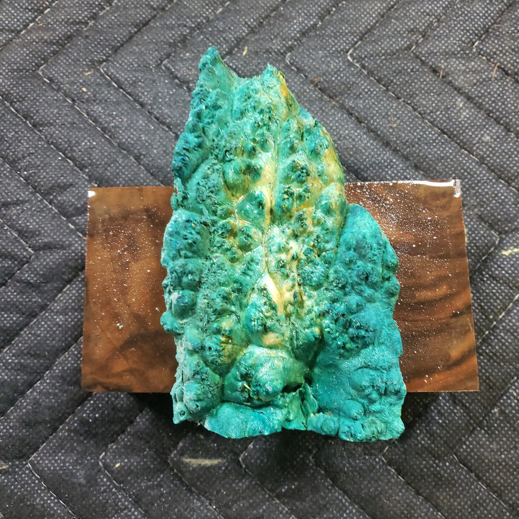 Casting box elder burl
