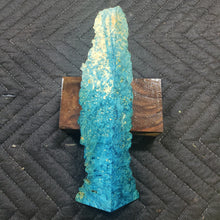 Casting box elder burl