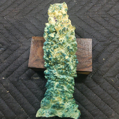 Casting box elder burl